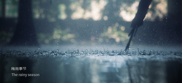 梅雨季節(jié)到了，您家的別墅地下室做了防潮處理嗎？